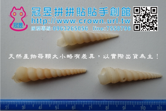 貝殼DIY