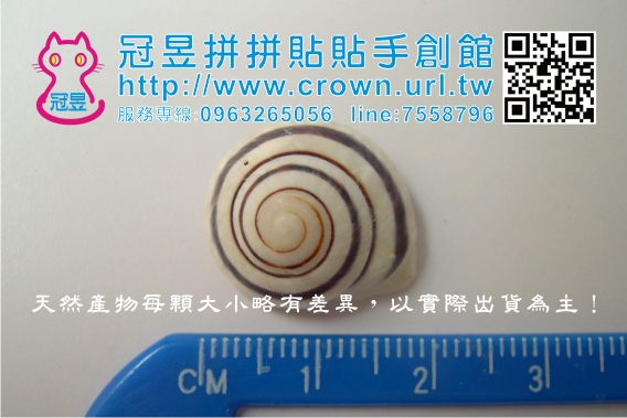 貝殼DIY
