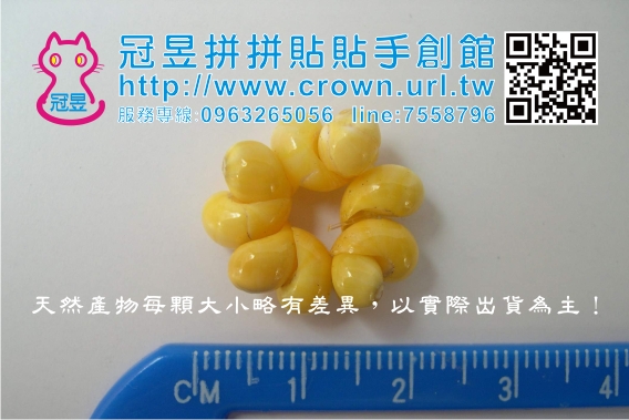 批發貝殼切片'